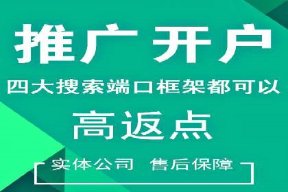 竞价排名案例：跨平台推广效果分析