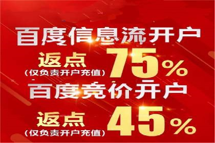 谷歌竞价广告的出价策略及某公司实践案例